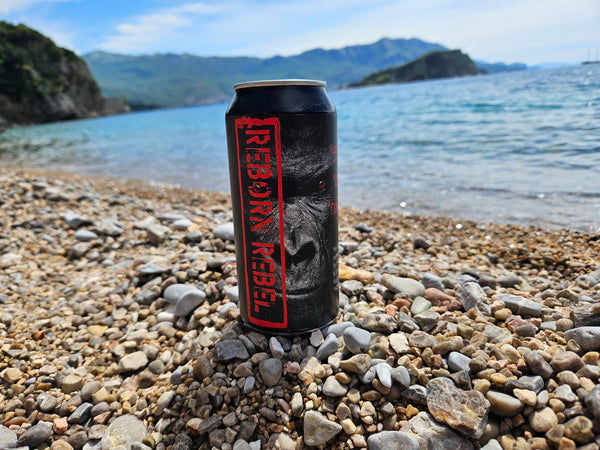 Reborn Energy - Vekk Rebellen i Deg