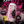 Reborn Energy Sukkerfri Fuel the Rebirth!
